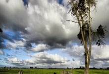 PG电子线上登入-郁金香凋零之夜：荷兰爆冷负奥地利无缘淘汰赛的深度解剖