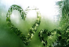 PG平台-阿尔艾因锋线火力全开，防守压力山大