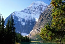 PG电子试玩官网-隐形冠军的逆袭：比拉与巴拉如何用实力打破所有质疑