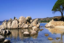 PG中国官网-闽篮风暴：凌驾前行的不败征途